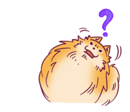 Funny Pomeranians! sticker #3172627