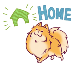 Funny Pomeranians! sticker #3172630