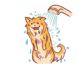 Funny Pomeranians! sticker #3172631