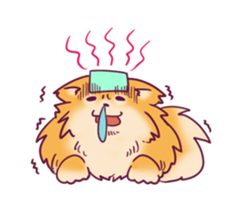 Funny Pomeranians! sticker #3172633