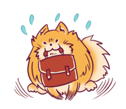 Funny Pomeranians! sticker #3172634