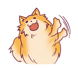 Funny Pomeranians! sticker #3172635