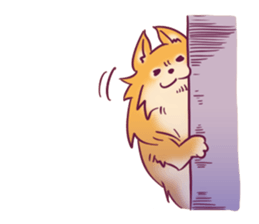 Funny Pomeranians! sticker #3172636