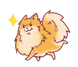 Funny Pomeranians! sticker #3172640