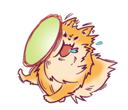 Funny Pomeranians! sticker #3172644