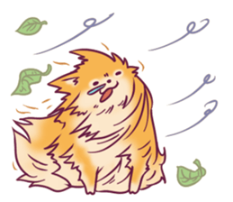 Funny Pomeranians! sticker #3172649