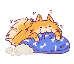 Funny Pomeranians! sticker #3172650