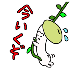 vegetable kingdom sticker #3174964