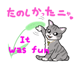 American Shorthair sticker #3175093