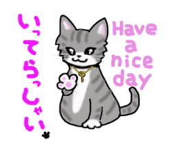 American Shorthair sticker #3175096