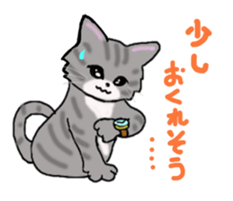 American Shorthair sticker #3175099