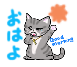 American Shorthair sticker #3175101