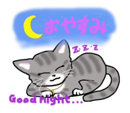 American Shorthair sticker #3175102