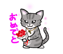 American Shorthair sticker #3175106