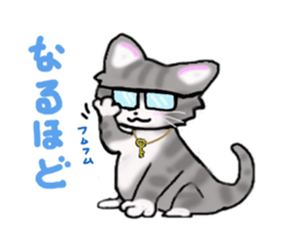 American Shorthair sticker #3175111