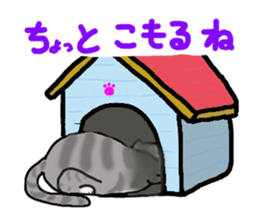 American Shorthair sticker #3175122