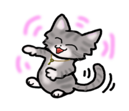 American Shorthair sticker #3175129