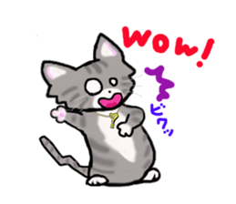 American Shorthair sticker #3175130