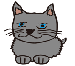 Russian Blue Cat Mia sticker #3175426