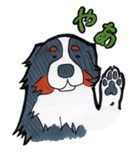 Happy Bernese Mountain Dog sticker #3175731