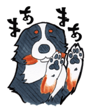 Happy Bernese Mountain Dog sticker #3175739