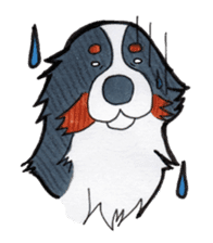 Happy Bernese Mountain Dog sticker #3175742
