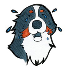 Happy Bernese Mountain Dog sticker #3175743