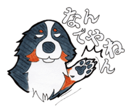 Happy Bernese Mountain Dog sticker #3175745