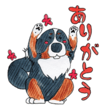 Happy Bernese Mountain Dog sticker #3175750