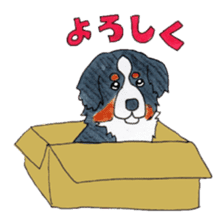 Happy Bernese Mountain Dog sticker #3175762