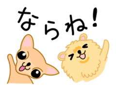 HAKATA puppy sticker #3179958