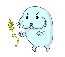 Sticker of seals sticker #3180088