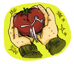 Tomato's sticker #3180168