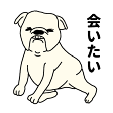 Animal unique Sticker sticker #3181151