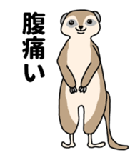 Animal unique Sticker sticker #3181152