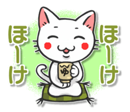 Yamanashi of Koshu valve cat of Hull sticker #3181355