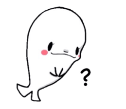 Iruko of beluga 2(English version.) sticker #3182056