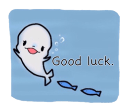 Iruko of beluga 2(English version.) sticker #3182089