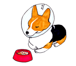 SAKURA! sticker #3182257