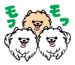 MY FLUFFY POMERANIAN sticker #3182538