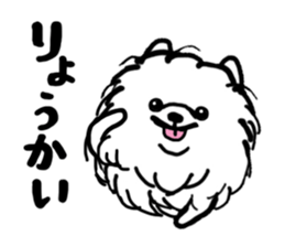 MY FLUFFY POMERANIAN sticker #3182539