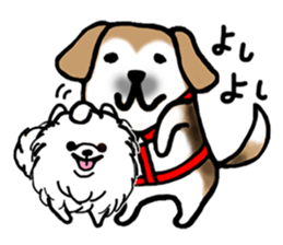 MY FLUFFY POMERANIAN sticker #3182544