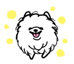 MY FLUFFY POMERANIAN sticker #3182546