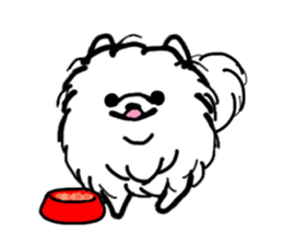 MY FLUFFY POMERANIAN sticker #3182547