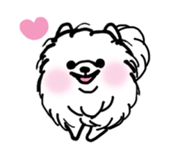 MY FLUFFY POMERANIAN sticker #3182548