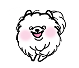 MY FLUFFY POMERANIAN sticker #3182549