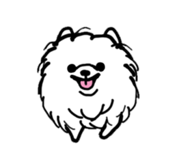 MY FLUFFY POMERANIAN sticker #3182551