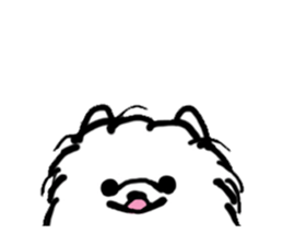 MY FLUFFY POMERANIAN sticker #3182553