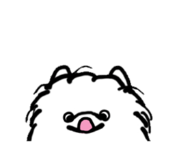 MY FLUFFY POMERANIAN sticker #3182554