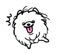 MY FLUFFY POMERANIAN sticker #3182555